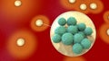Bacteria Staphylococcus aureus, 3D illustration Royalty Free Stock Photo