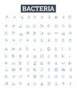 Bacteria vector line icons set. Bacterium, Microbe, Pathogen, Streptococcus, Salmonella, Ecoli, Staphylococcus