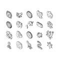 bacteria virus bacterium cell isometric icons set vector Royalty Free Stock Photo