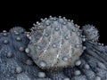 Bacteria, virus, cell 3d