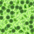 Bacteria or virus spheres with green background Royalty Free Stock Photo