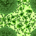 Bacteria or virus spheres with green background Royalty Free Stock Photo
