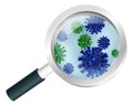 Bacteria or Virus Under A Magnifying Glass