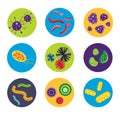 Bacteria virus vector icon