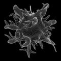 Bacteria virus wireframe mesh