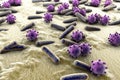 Bacteria and viruses illustration