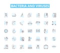 Bacteria and viruses linear icons set. Pathogen, Microbe, Infection, Contagious, Tissue, Epidemic, Host line vector and