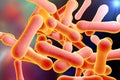 Bacteria which cause diphtheria Royalty Free Stock Photo