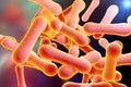 Bacteria which cause diphtheria Royalty Free Stock Photo