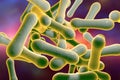 Bacteria which cause diphtheria Royalty Free Stock Photo