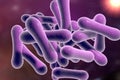 Bacteria which cause diphtheria Royalty Free Stock Photo