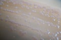 Bacterial Colonies on Agar Plate Royalty Free Stock Photo