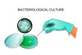 Bacterial inoculation in the laboratory Royalty Free Stock Photo