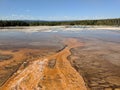 Bacterial mats with pedestrian bridge and forest in Yellowstone National Park