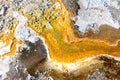 Bacterial mats from thermophilic organisms, Yellowstone National Park, Wyoming Royalty Free Stock Photo