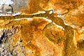 Bacterial mats from thermophilic organisms, Yellowstone National Park, Wyoming Royalty Free Stock Photo