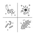 Bacterial microorganism variety