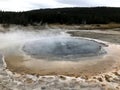 Bacterial pool in Yellowstone National Park in Wyoming Royalty Free Stock Photo