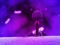 Bacteriophage