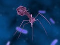 Bacteriophage Royalty Free Stock Photo