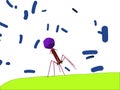 Bacteriophage Royalty Free Stock Photo