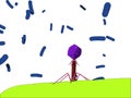 Bacteriophage Royalty Free Stock Photo