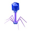 Bacteriophage isometric illustration