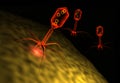 Bacteriophages