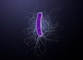 Bacterium clostridium difficile, scientific 3D illustration