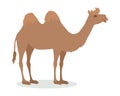 Bactrian Camel Cartoon Icon in Flat Design