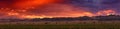 Bactrian Camels on a pasture in Mongolia at sunset. Panorama of the pasture. Source of meat, milk and wool. Camel down, a favorite Royalty Free Stock Photo