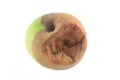 Bad apple Royalty Free Stock Photo