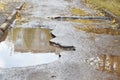 The bad asphalted road with a big potholes filled with water. Dangerous destroyed roadbed