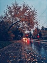 Bad autumn fall rainy weather. Poor visibility on roads. Night evening traffic on city street. Transport cars headlights in Royalty Free Stock Photo