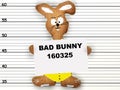 bad bunny Royalty Free Stock Photo