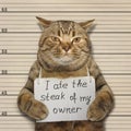 Bad cat ate steak Royalty Free Stock Photo