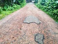 In Jhenaidah, Bangladesh, 08 august 2021, view of damaged road.