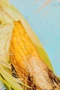 Bad corn Royalty Free Stock Photo