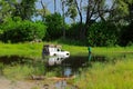 Bad day in Africa. Safari car drowned in river Khwai, Moremi, Okavango delta in Botswana. Travel holiday in Africa durrinf green s Royalty Free Stock Photo