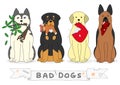 Bad dogs