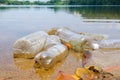 Bad environmental habit of improper disposal of non-biodegradable PVC cups and bottles in a lake. Selective focus.