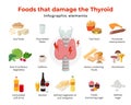 Bad foods for thyroid, set of food icons in flat design isolated on white background. Foods that damage the thyroid