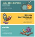 Bad and good bacteria, harmful viruses and medical bacteriology