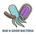 Bad and good bacteria scientific biology themed poster