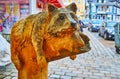 Carved wooden raccoon, Bad Ischl, Salzkammergut, Austria Royalty Free Stock Photo