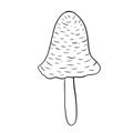 The bad mushroom, not eatable, in line art