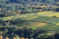 Bad Neuenahr-Ahrweiler, Germany - 10 19 2020: autumn vineyards in Ahrtal 2020 Royalty Free Stock Photo