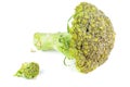 Bad overripe broccoli cabbage isolated