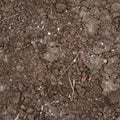 Bad quality earth soil Royalty Free Stock Photo