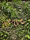 Bad Ragaz, Switzerland, 14.11,2021. Vertical garden with tropical plants at Quellenhof hotel. Vertical close up. Royalty Free Stock Photo